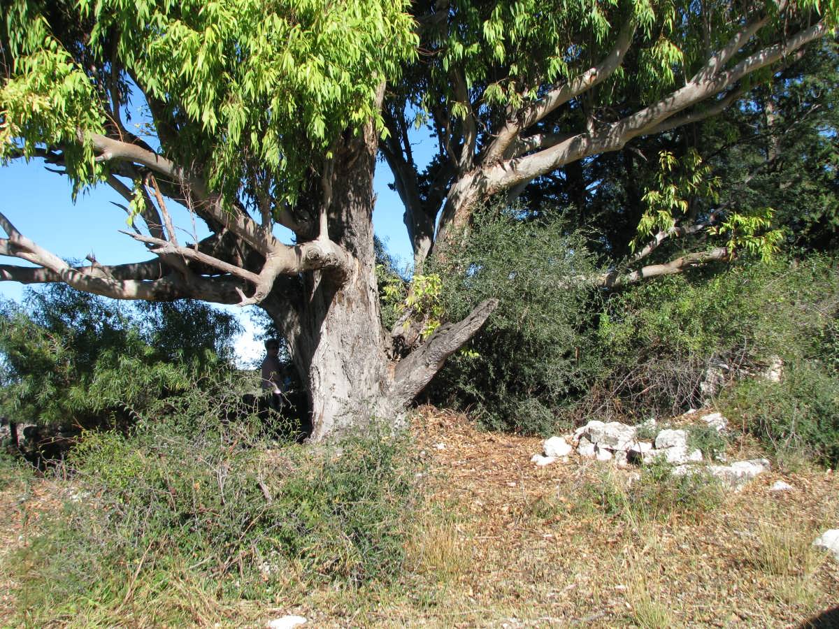 2. Overview on the cemetery