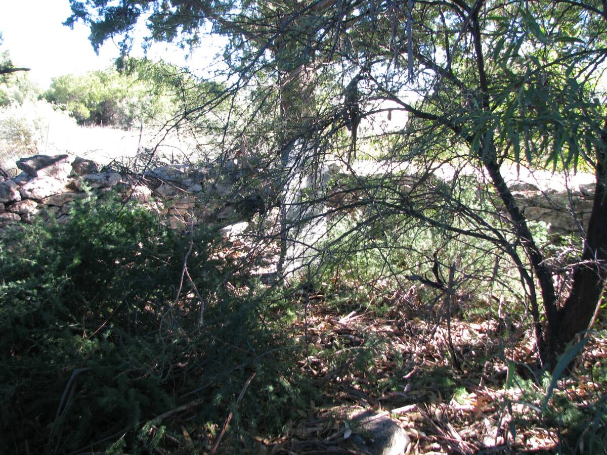 3. Overview on the tombstones behind the bushes