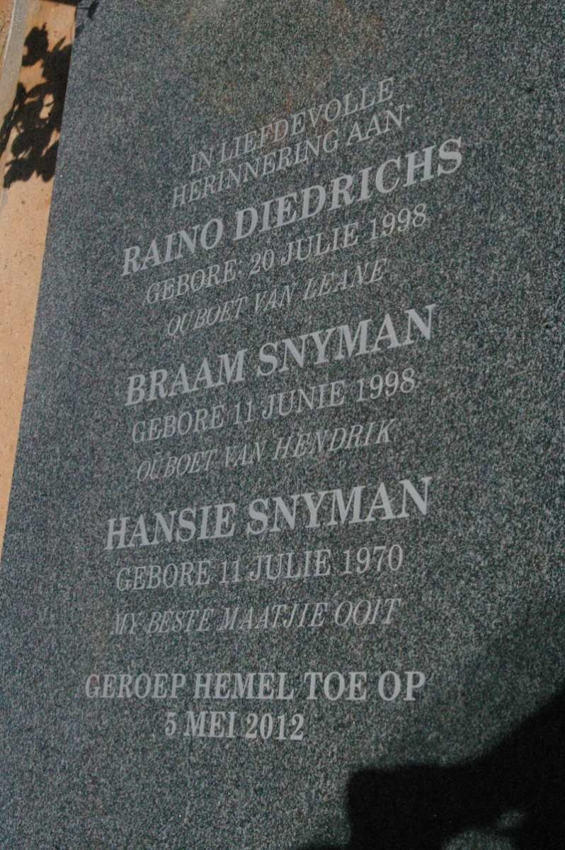 SNYMAN Hansie 1970-2012 :: SNYMAN Braam 1998-2012 :: DIEDRICHS Raino 1998-2012