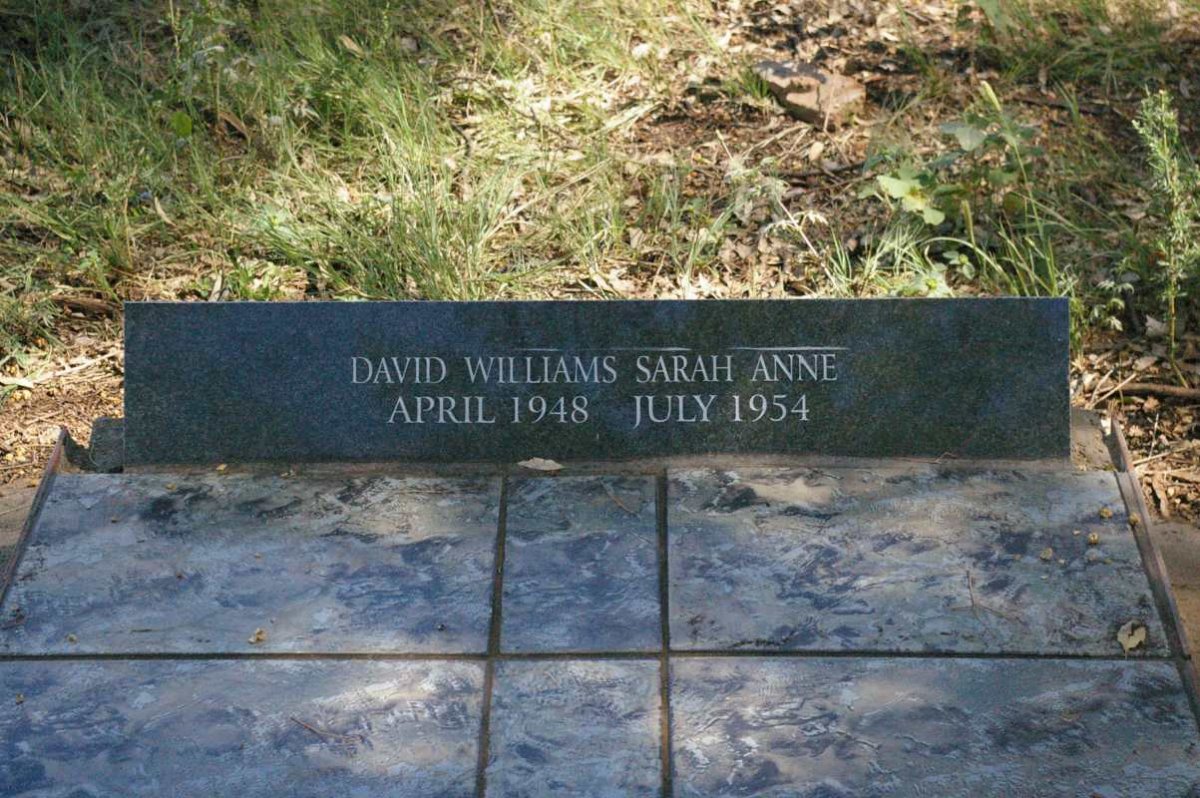 WILLIAMS David -1948 &amp; Sarah Anne -1954