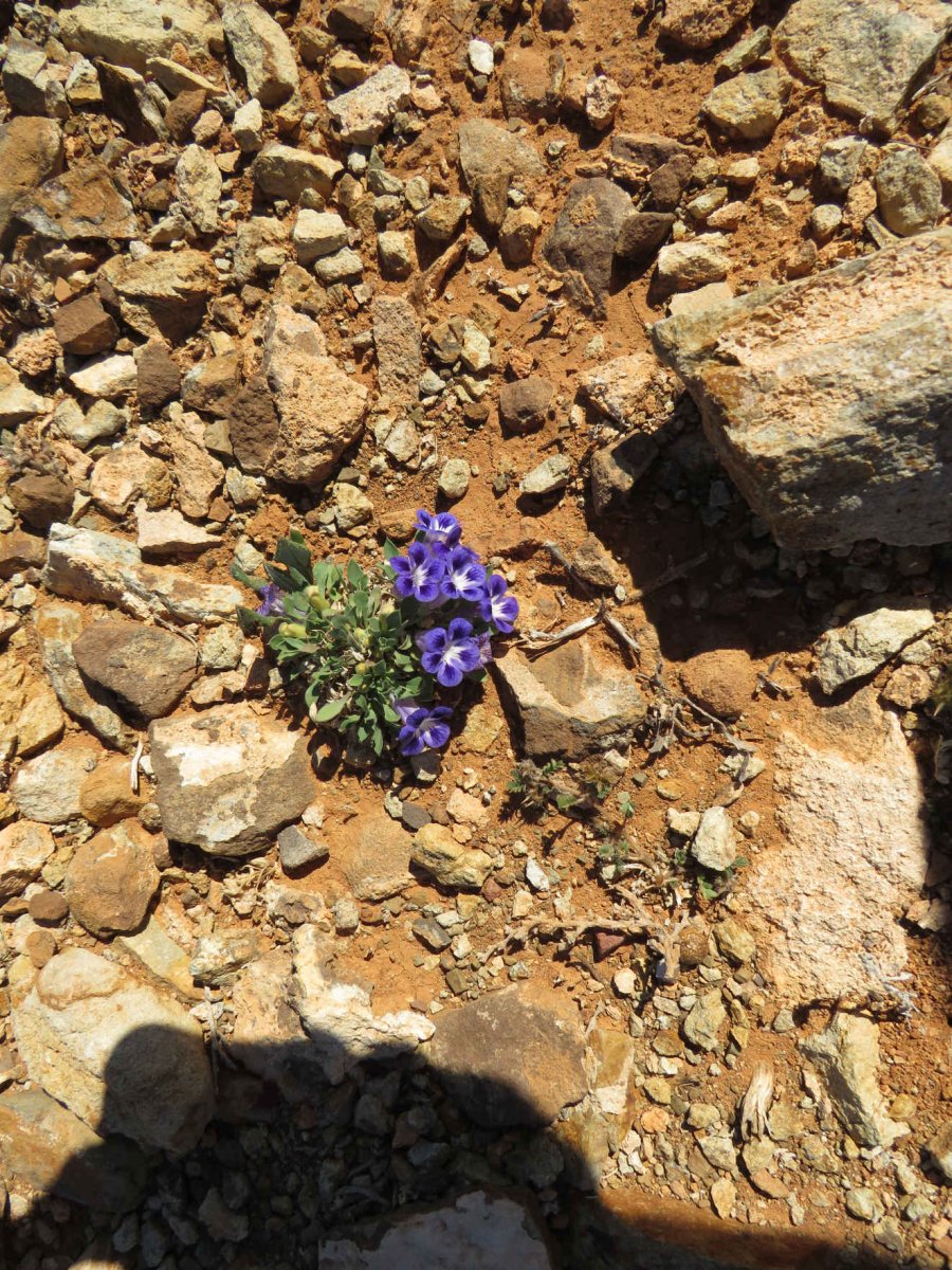 3. Lewe tussen die grafte / Life between the graves