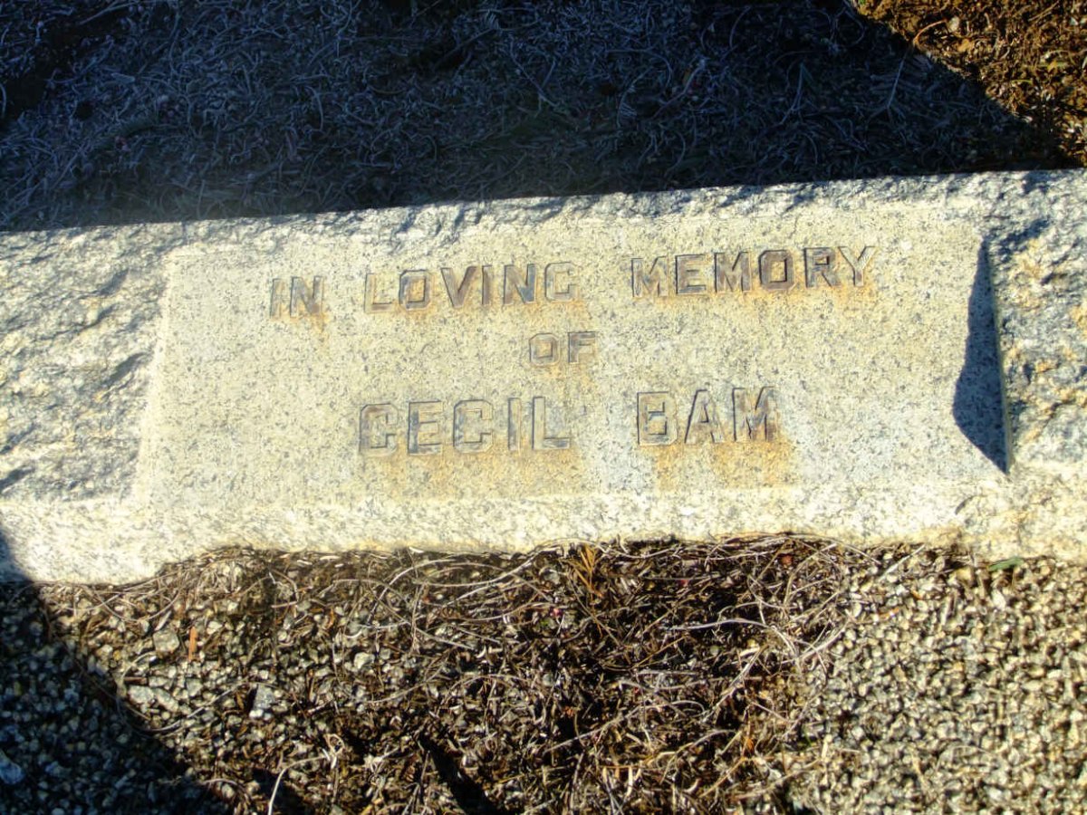 BAM Cecil