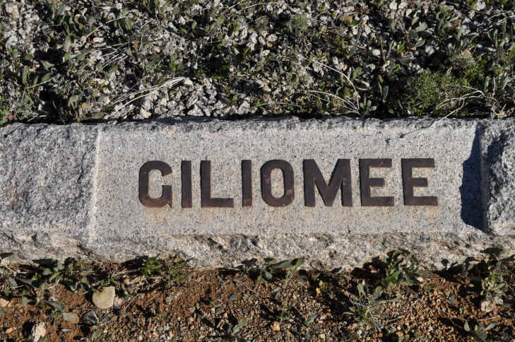 GILIOMEE