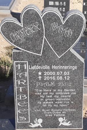 HARTBEES Christenese Adanaan 2000-2016