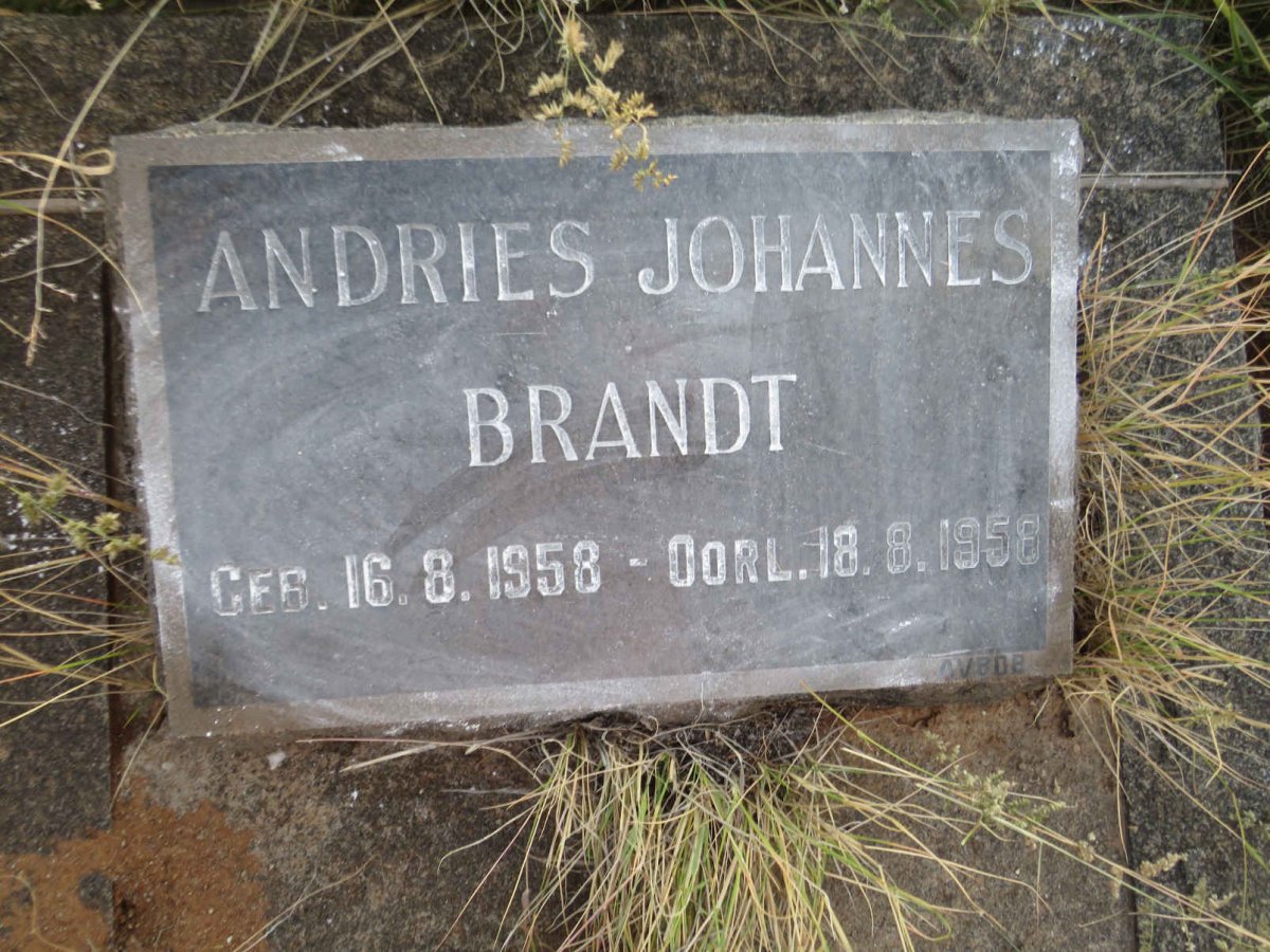 BRANDT Andries Johannes 1958-1958