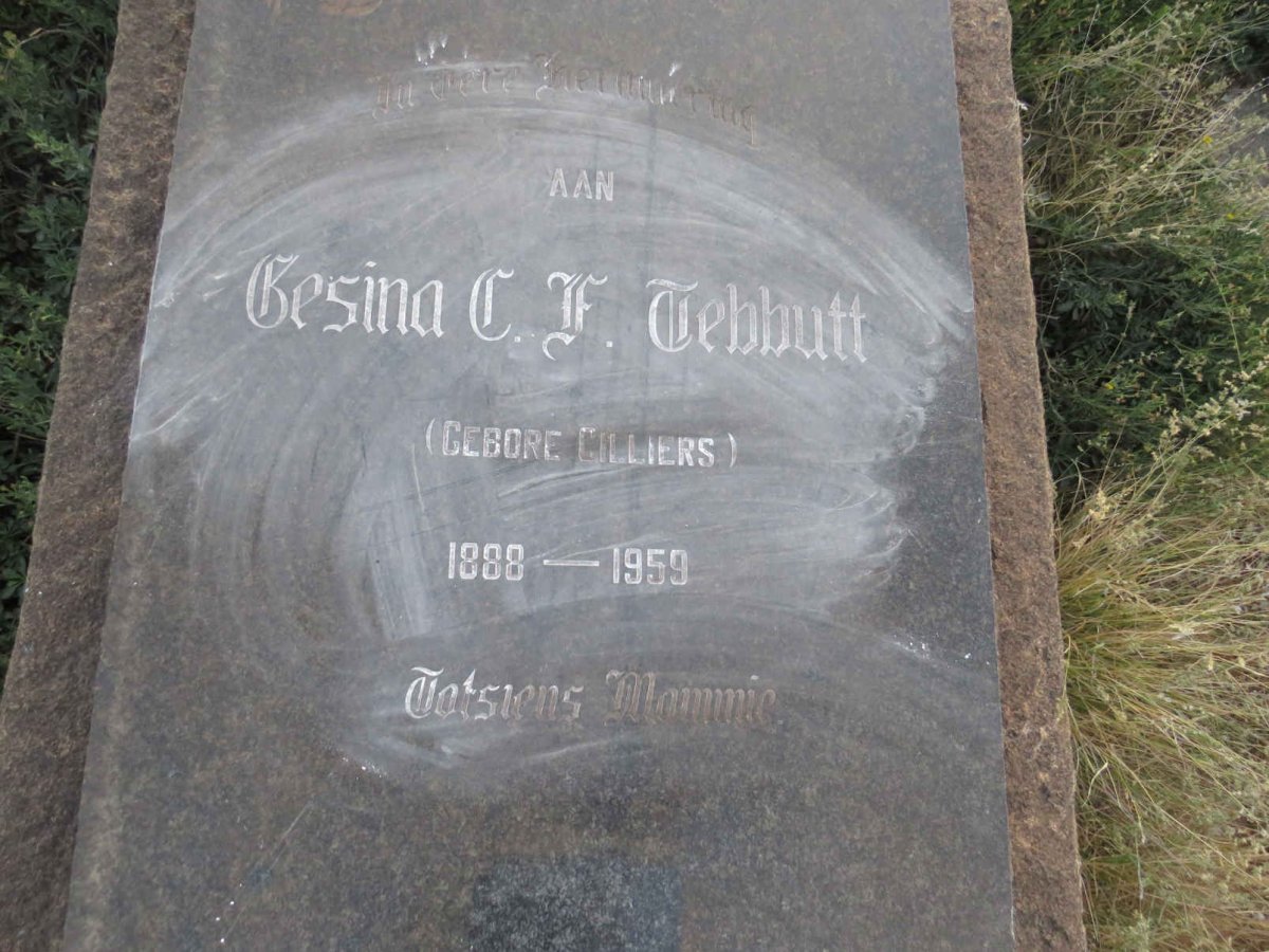 TEBBUTT Gesina C.F. nee CILLIERS 1888-1959