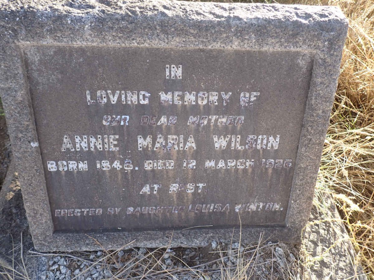 WILSON Annie Maria 1845-1926