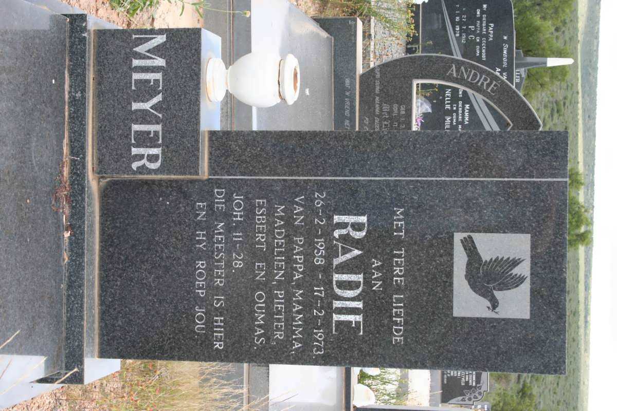MEYER Radie 1958-1973