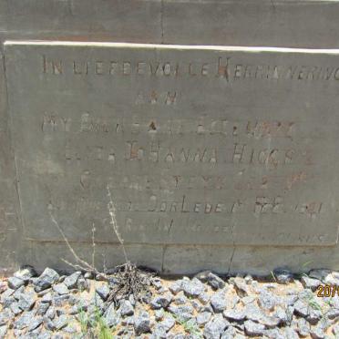 HIGGS Eliza Johanna nee STEYN 1878-1941