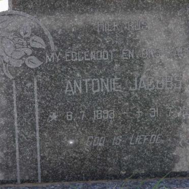 JACOBS Antonie 1893-1927