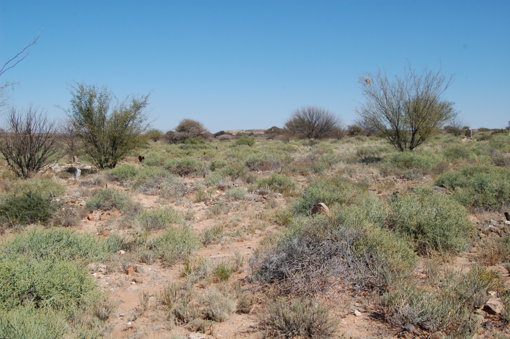 1. Uitsig oor veld met grafte