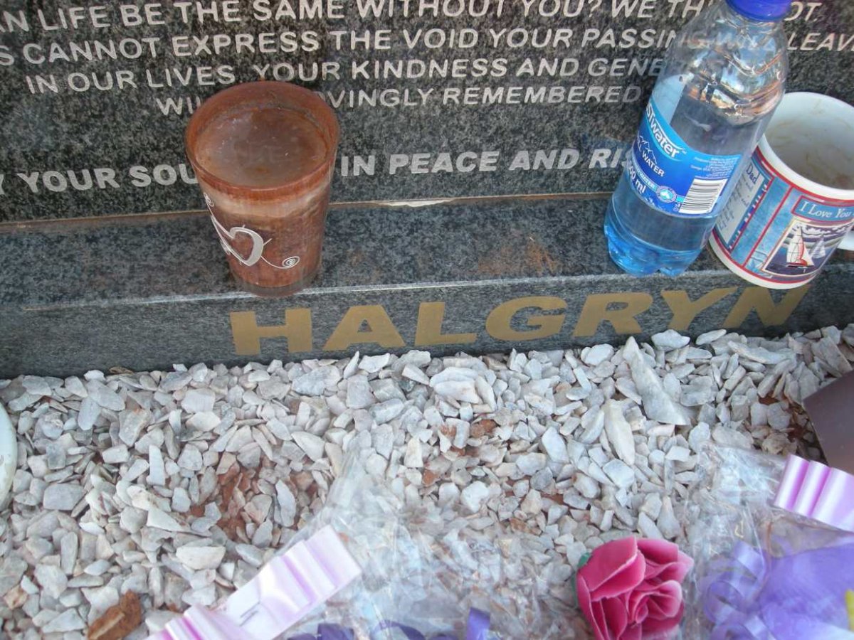 HALGRYN Petrus Johannes 1949-2012