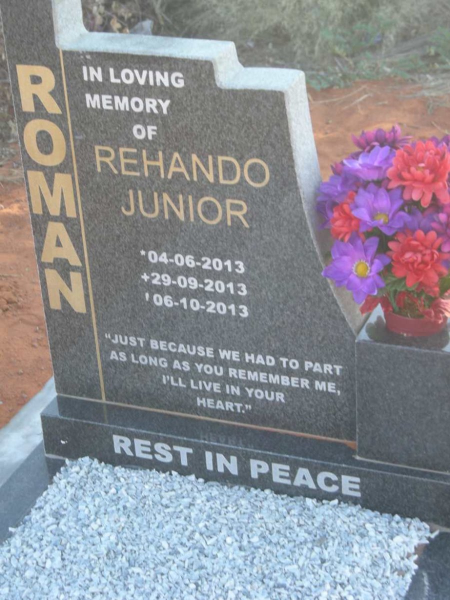 ROMAN Rehando Junior 2013-2013