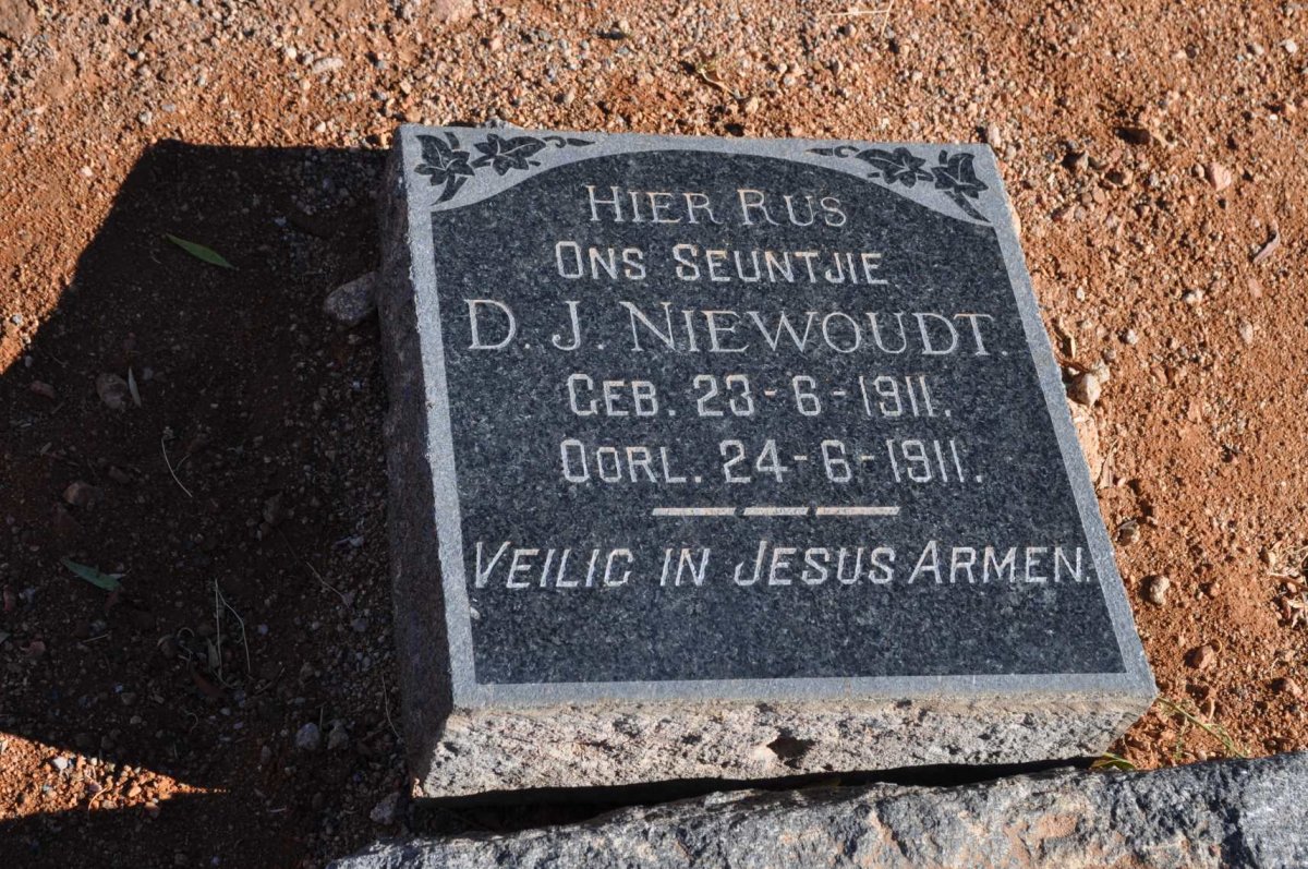 NIEWOUDT D.J. 1911-1911