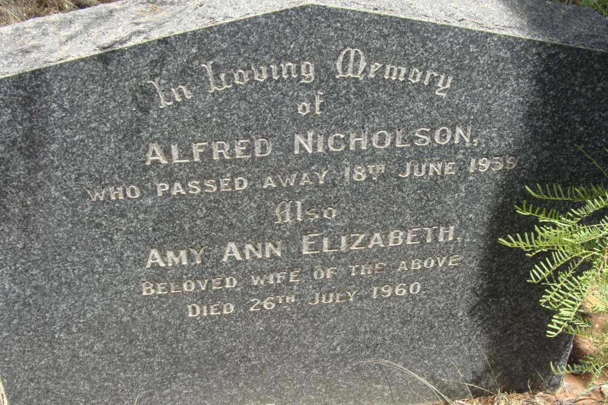 NICHOLSON Alfred -1939 &amp; Amy Ann Elizabeth -1960