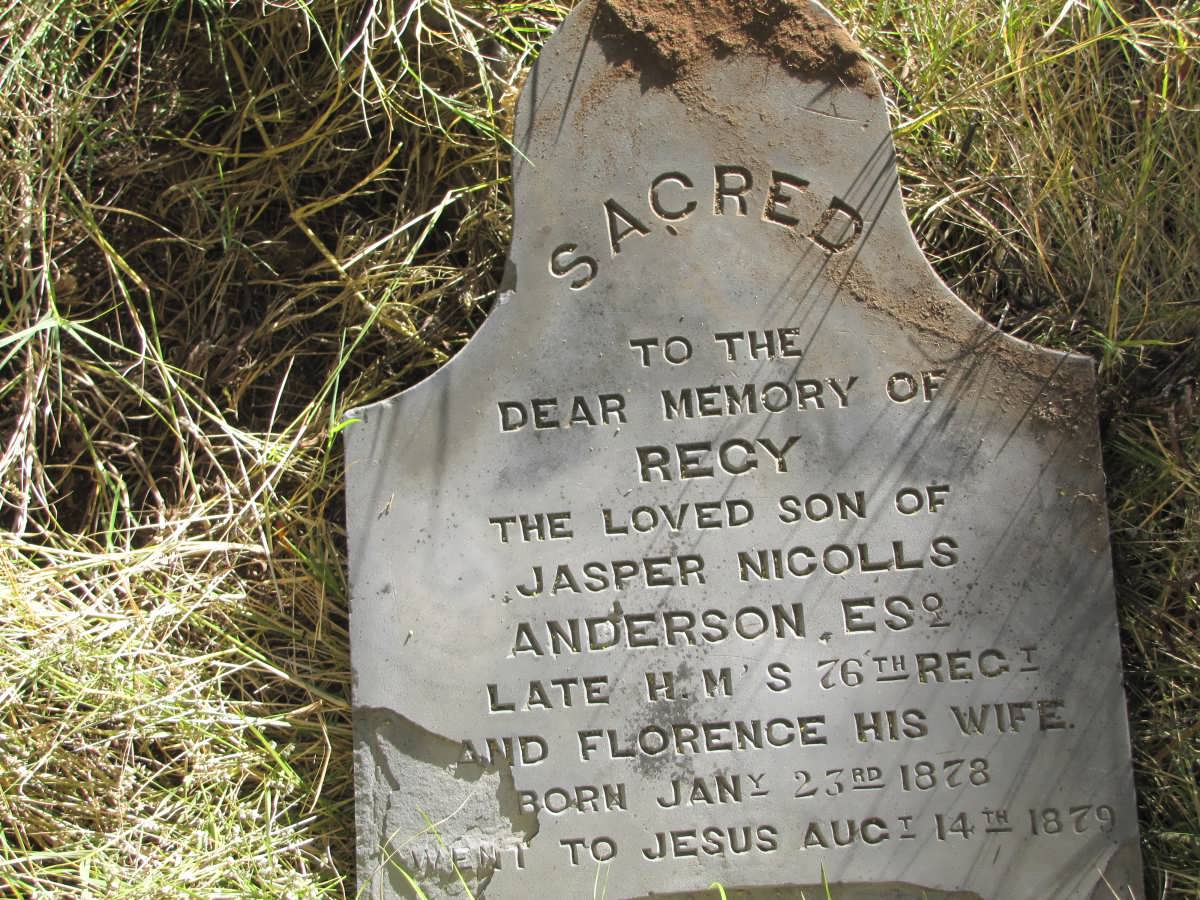 ANDERSON Recy 1878-1879