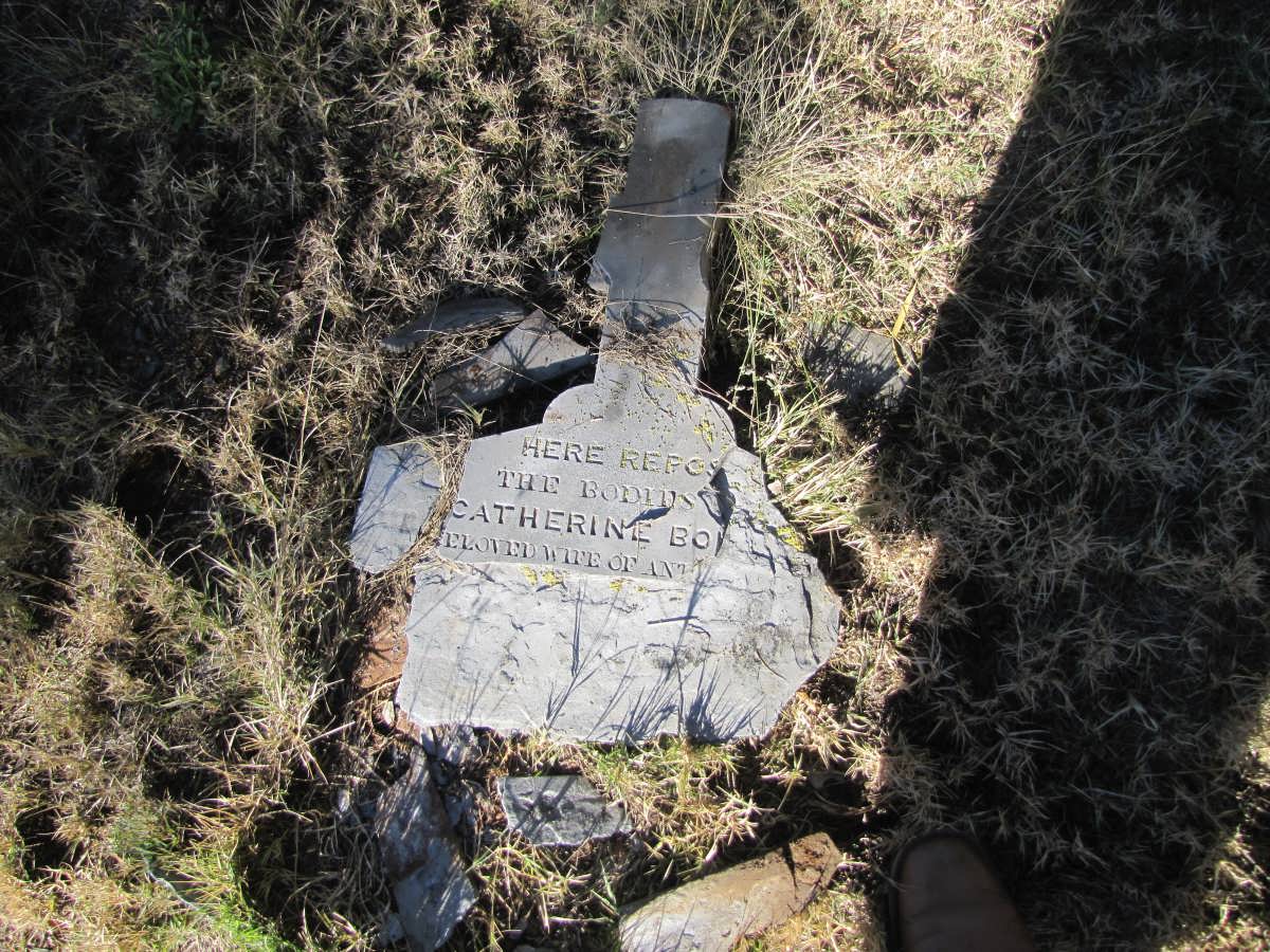 BO???? Catherine