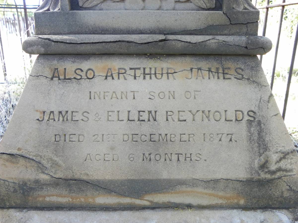 REYNOLDS Arthur James -1877