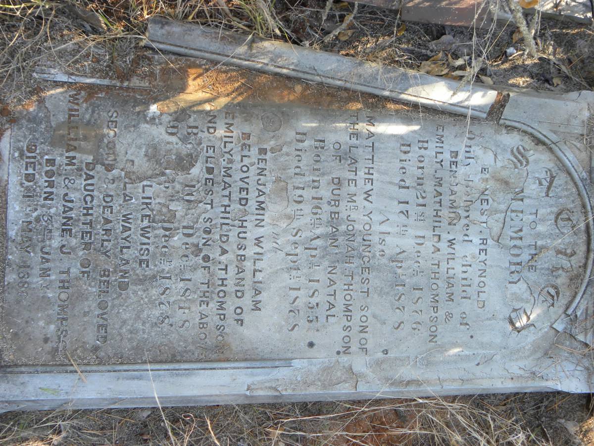 THOMPSON Benjamin William 1818-1878 :: THOMPSON Ernest Reynold 1876-1878 :: THOMPSON Matthew 1835-1878
