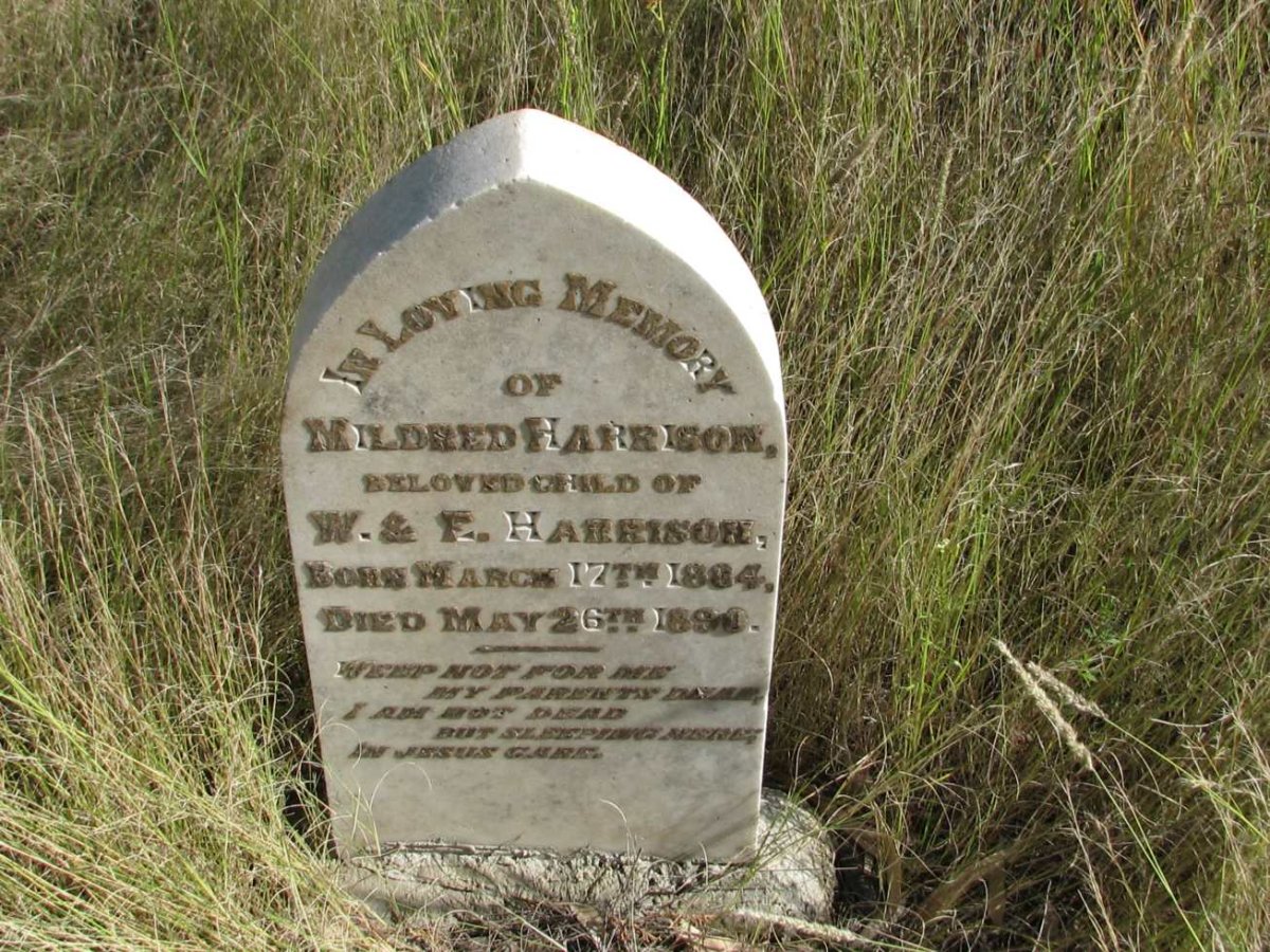 HARRISON Mildred 1884-1890
