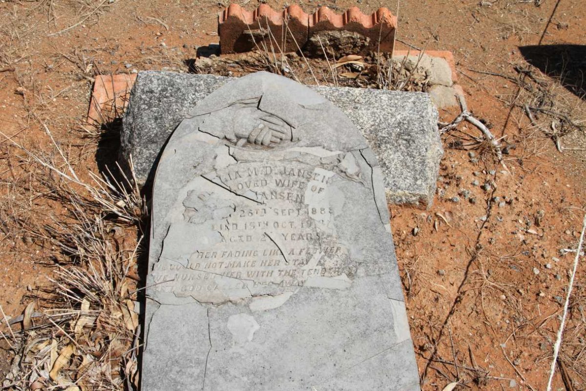 JANSEN D??lia M.D. 1888-1918