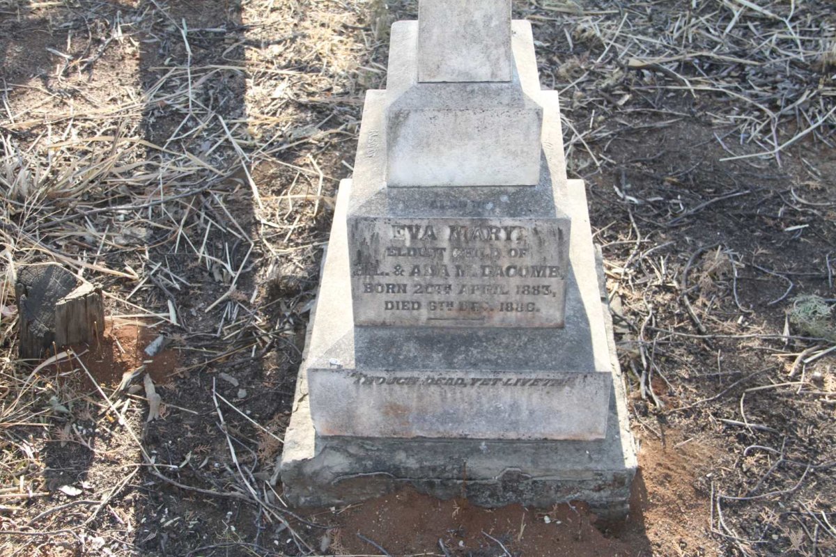 DACOMB Eva Mary 1883-1886