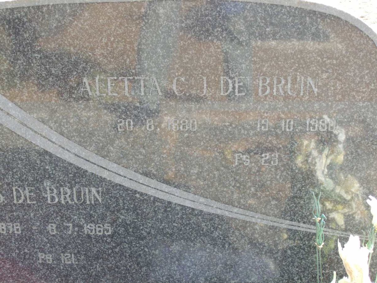 BRUIN Aletta C.J., de 1880-1980