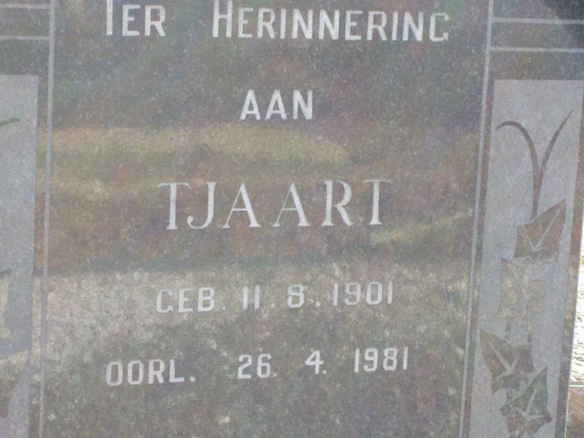 COETSEE Tjaart 1901-1981