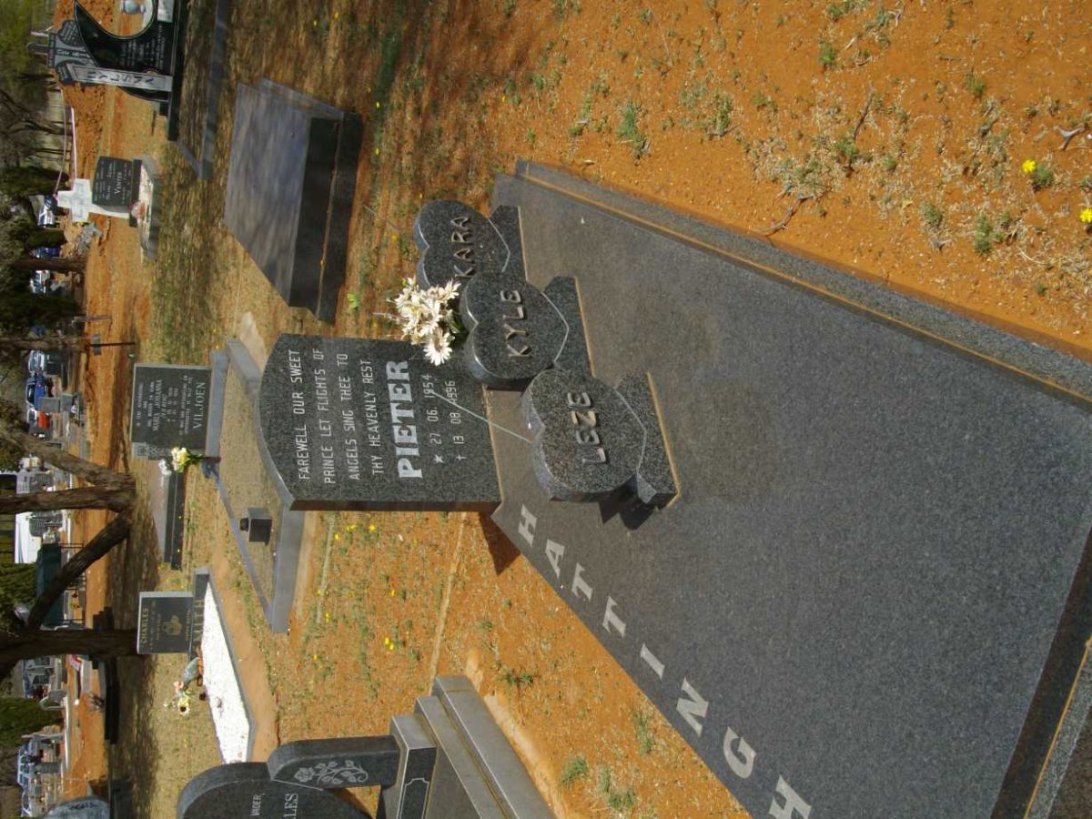 HATTINGH Pieter 1954-1996