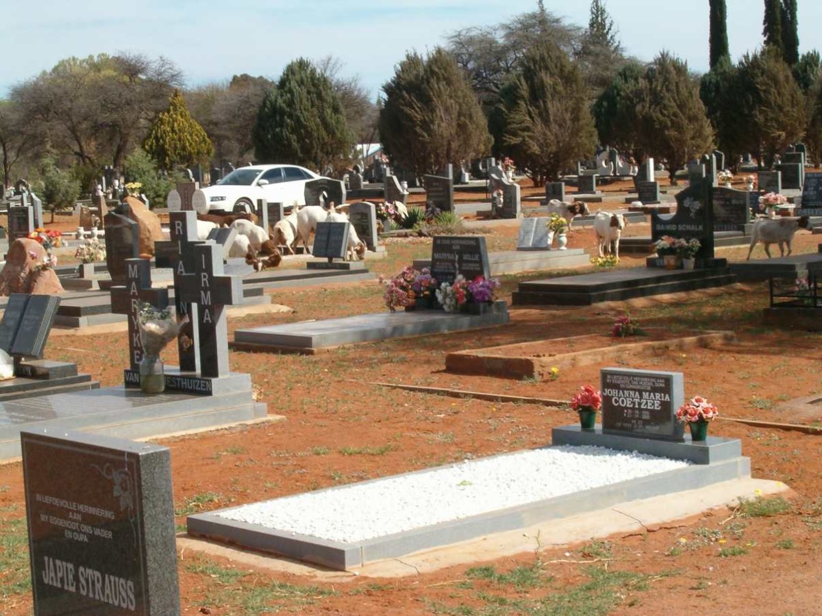 1. Overview of graves at Seodin cemetery 