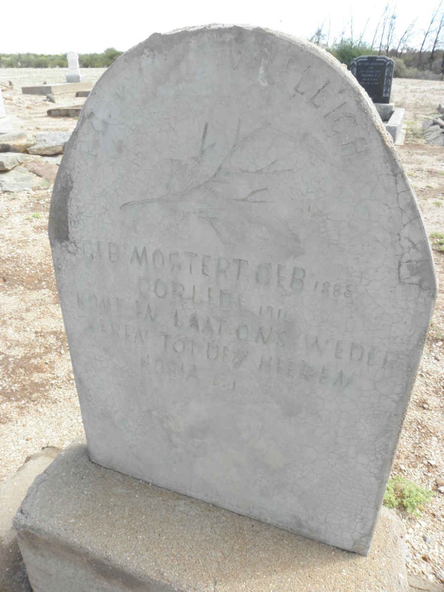 WIELLIGH F.G., von nee MOSTERT 1888-1911