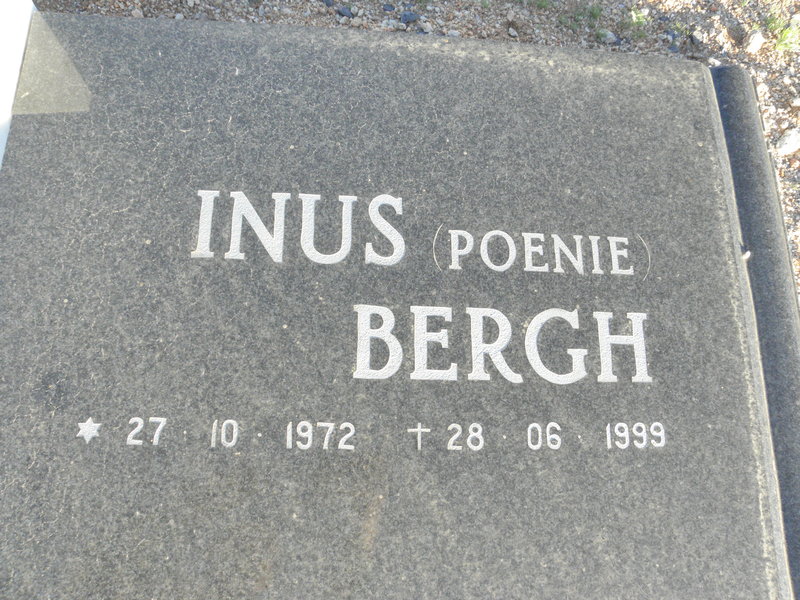 BERGH Inus 1972-1999 :: BERGH Martin 1978-1996