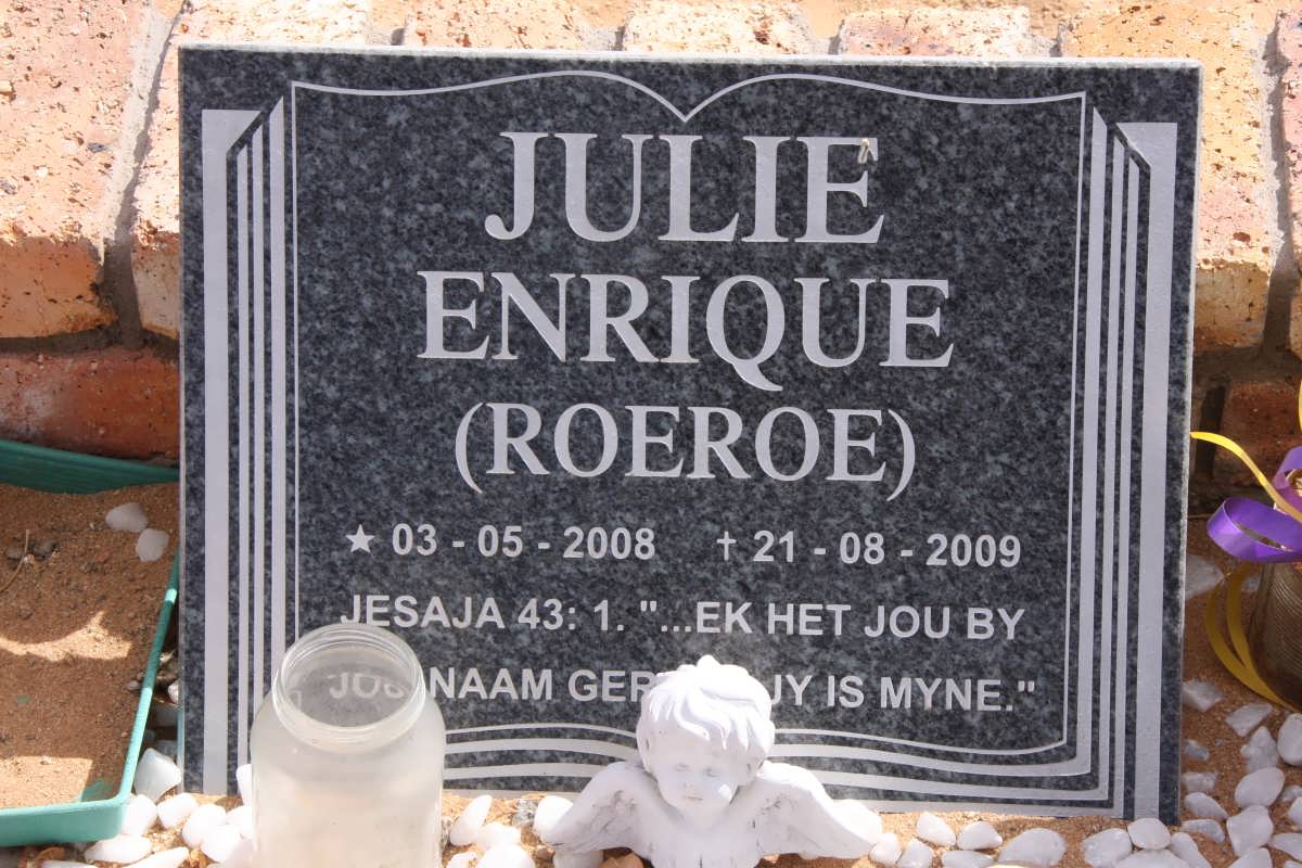 ENRIQUE Julie 2008-2009