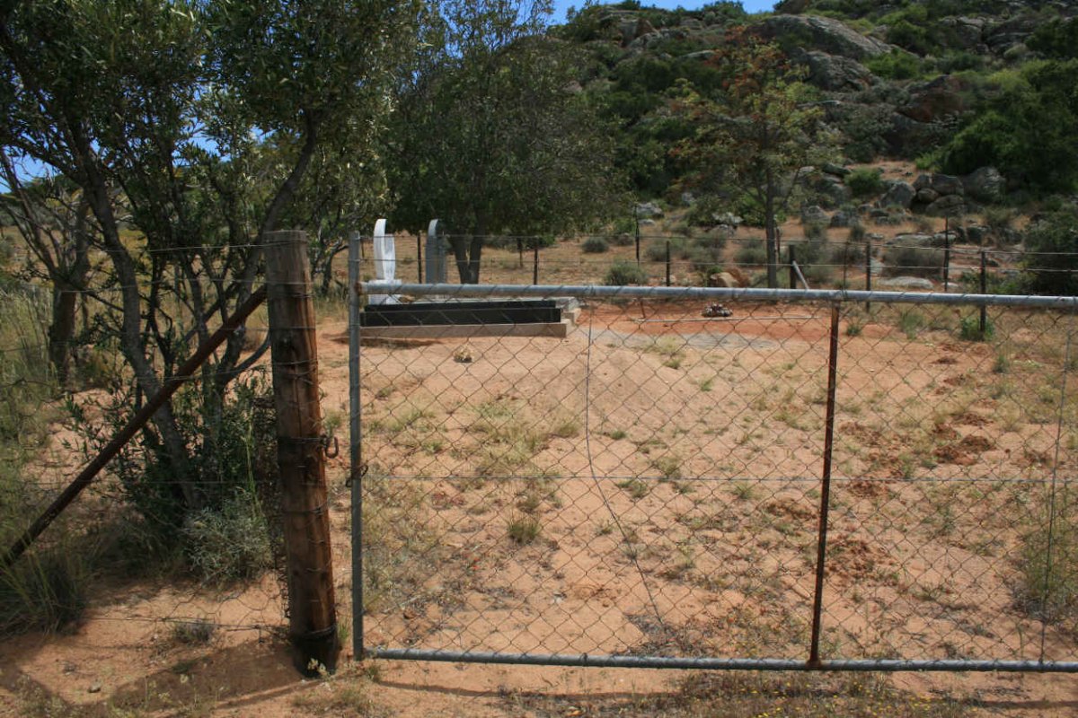 2. Overview