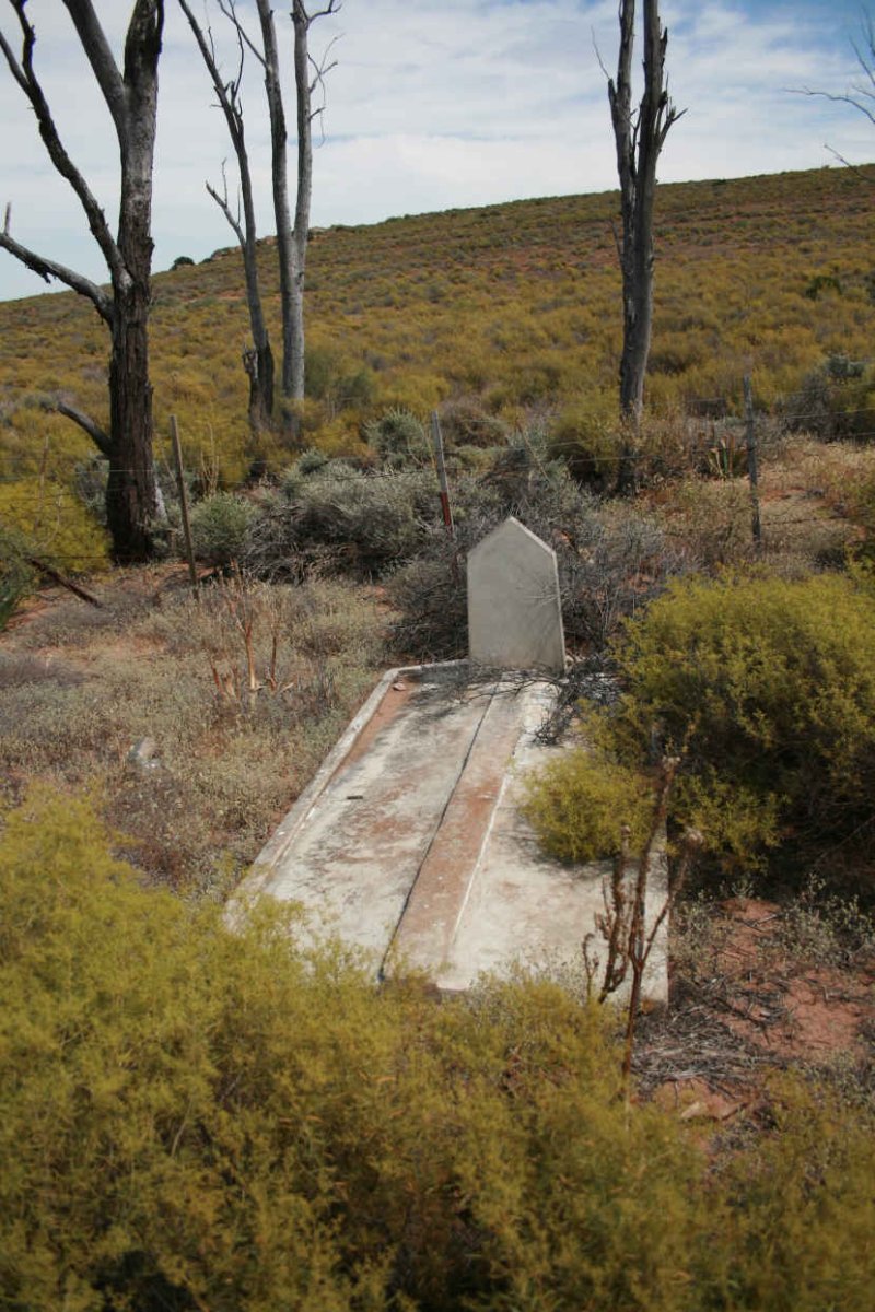 2. Overview