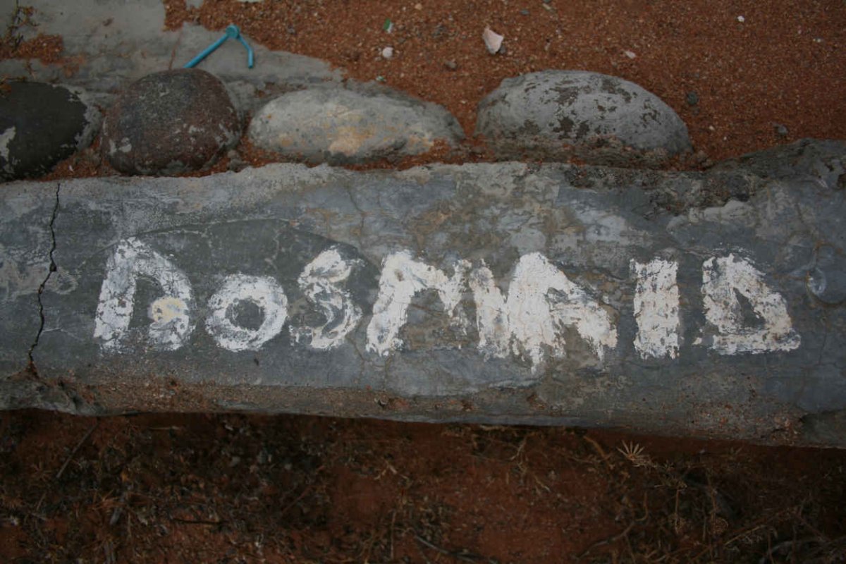 DOSMAID
