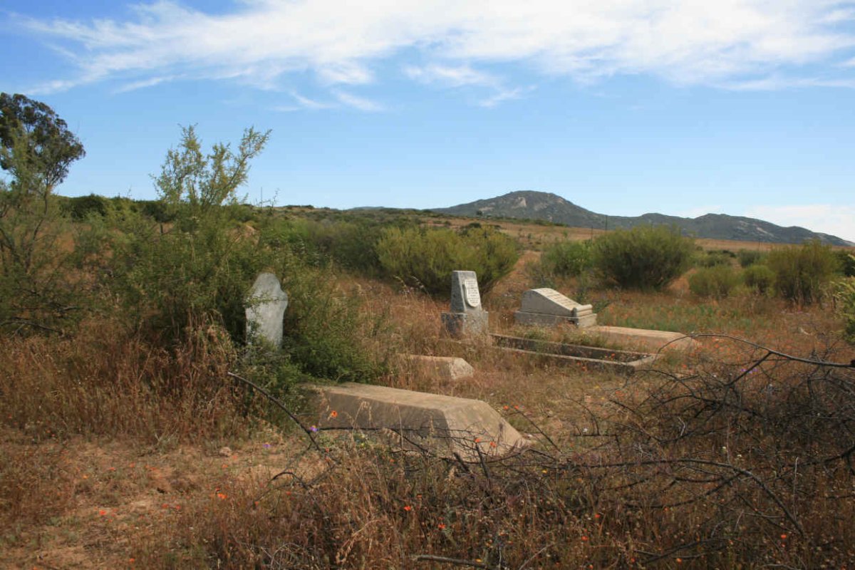 2. Oorsig