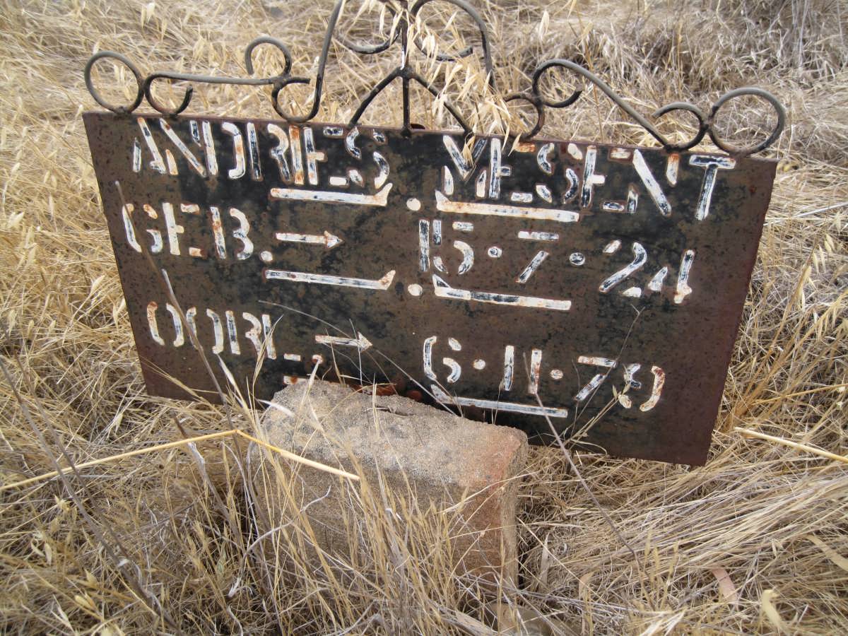 MESENT Andries 1924-1979
