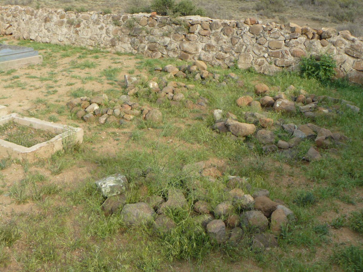 2. Overview / Oorsig