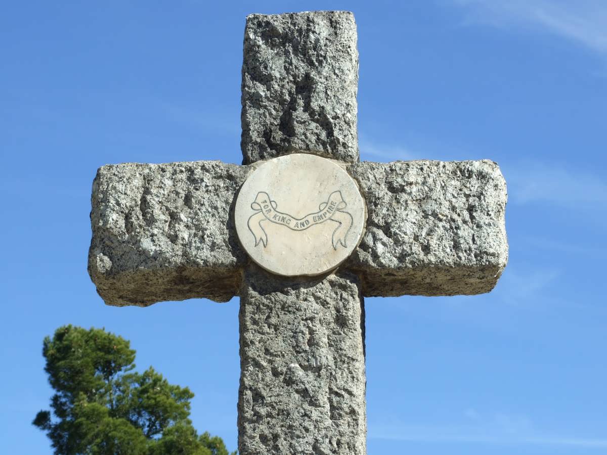 2. Plaque