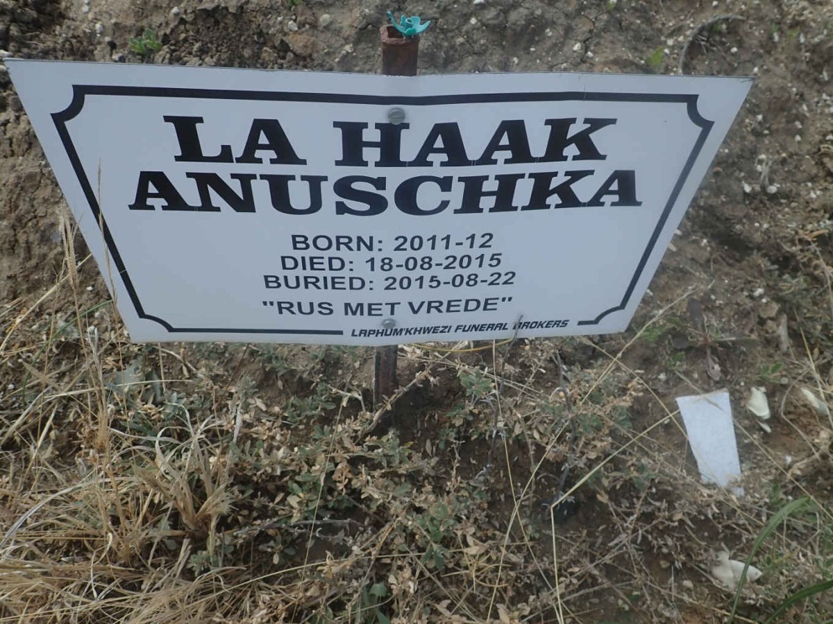HAAK Anuschka, la 2011-2015