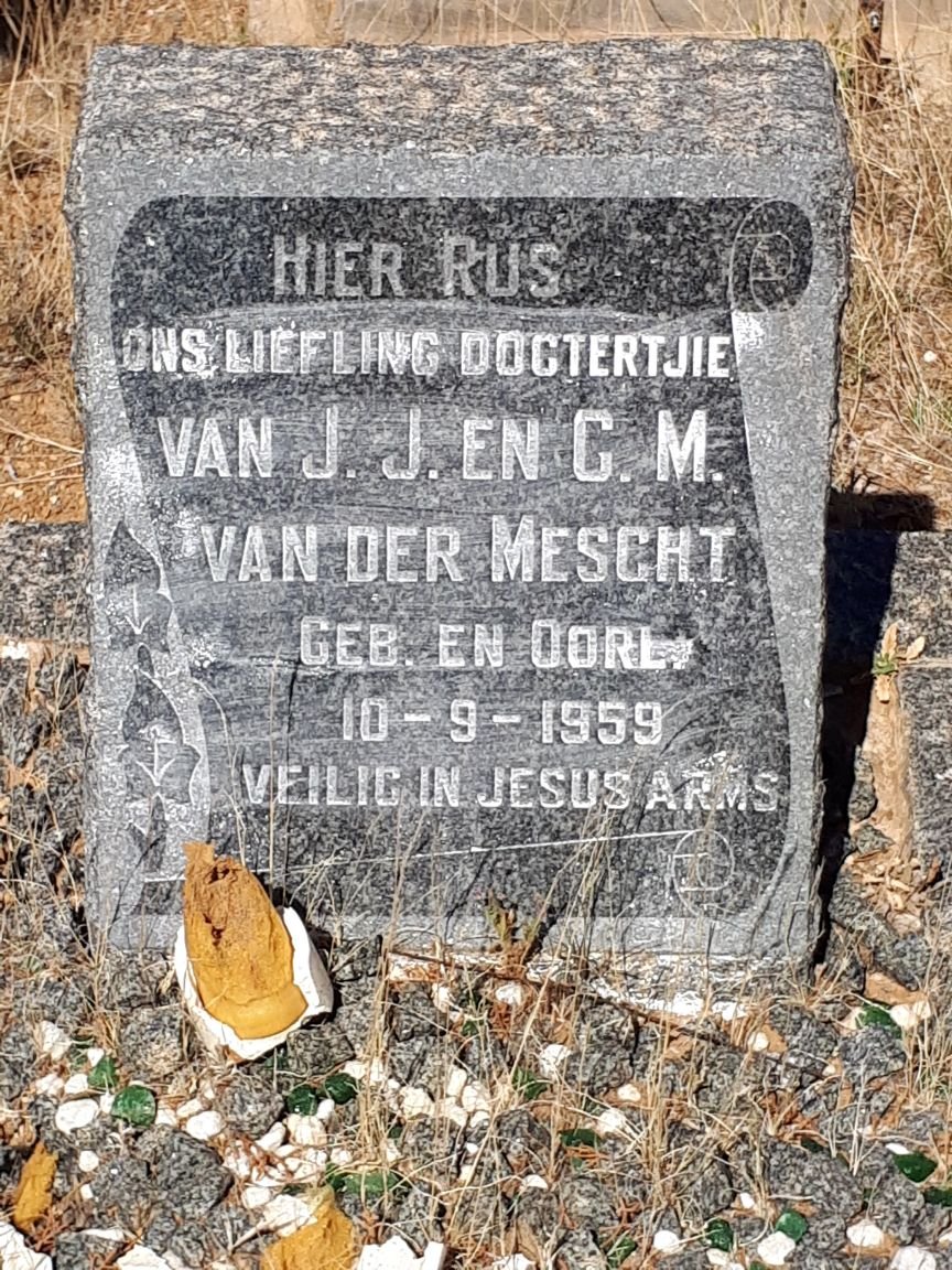 MESCHT, van der 1959-1959