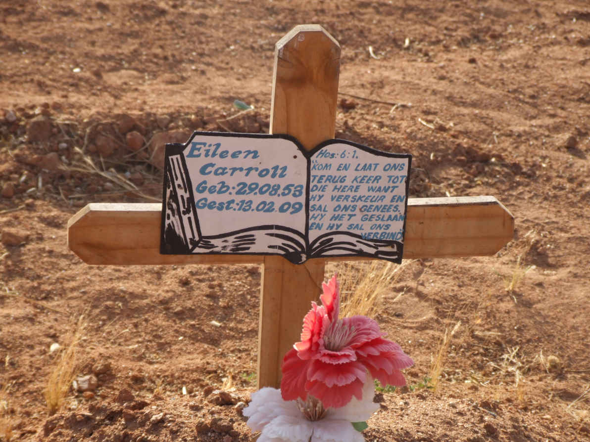 CARROLL Eileen 1958-2009