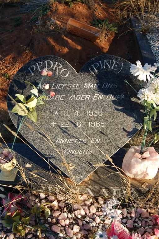 PIENAAR Pedro 1936-1988