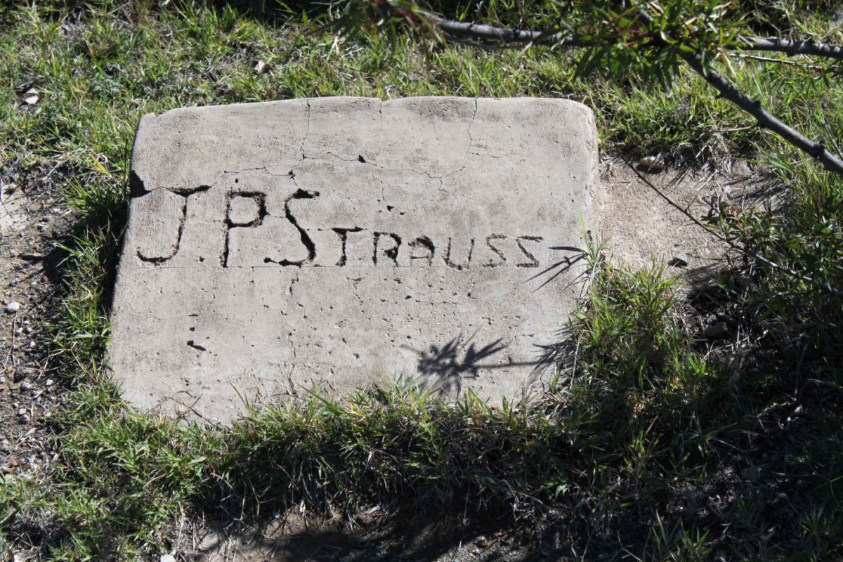 STRAUSS J.P.