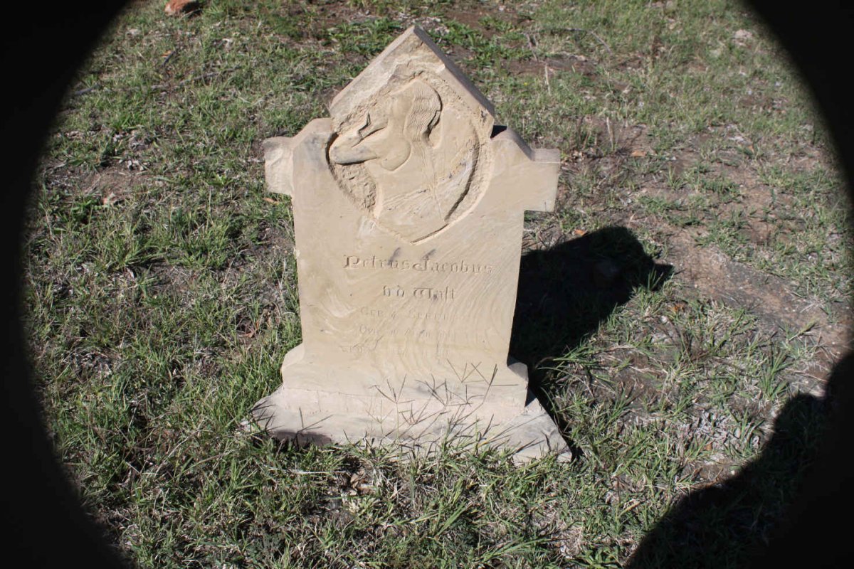 WALT Petrus Jacobus, v.d.