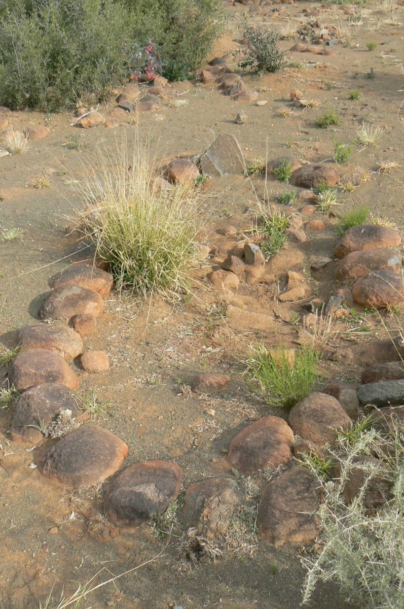 2. Petrusville Begraafplaas oorsig