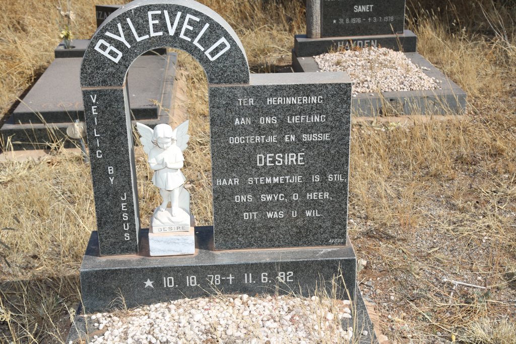 BYLEVELD Desire 1978-1982