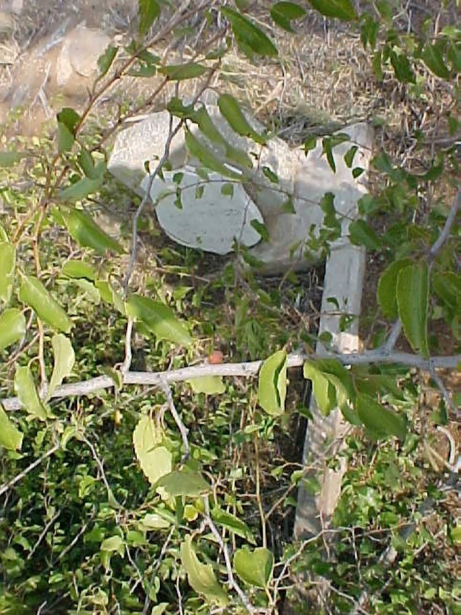 STADEN J.F., van 1892-1950
