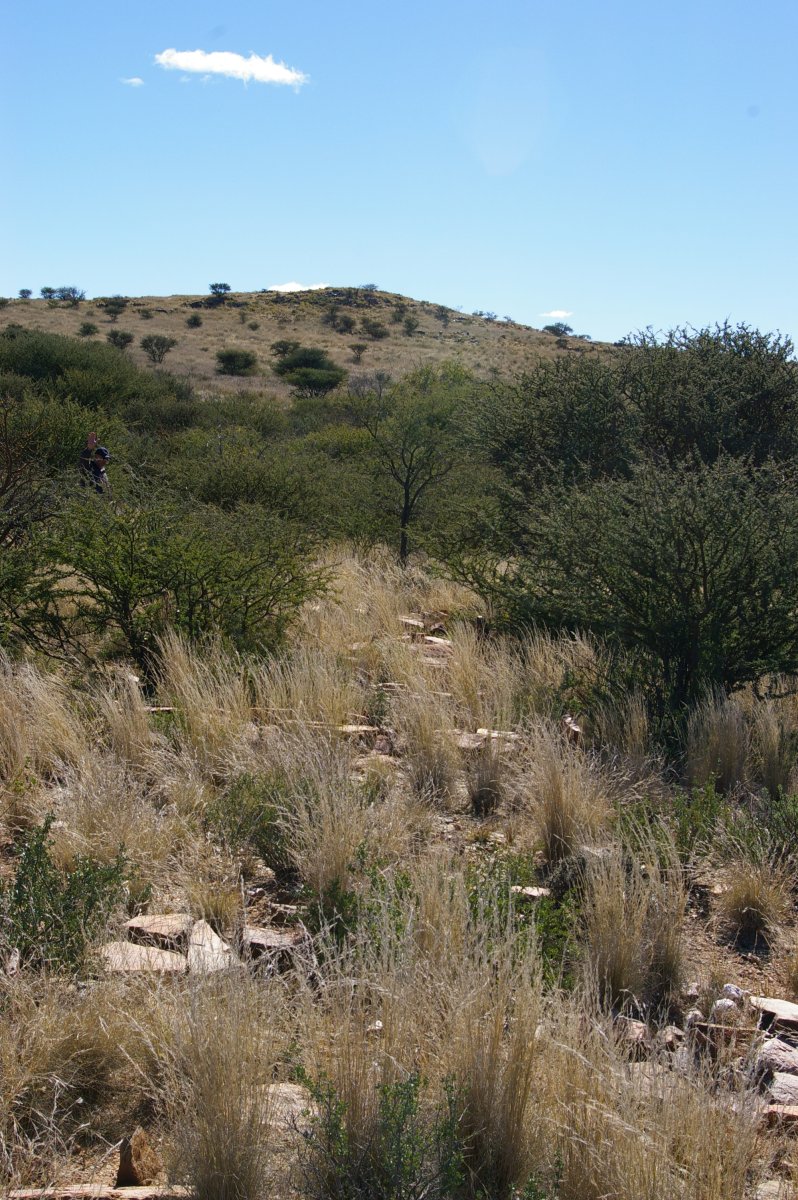 1. Overview on the gravesite